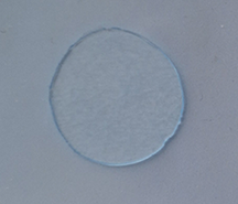 AMT-SOFi 20mm Special Hydrogel Adhesive for Small Sensors (Box of 200)